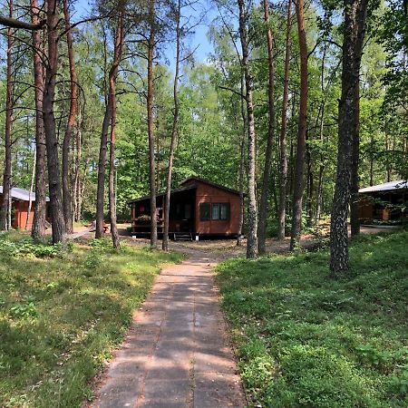 Lesnik Bungalow Stegna - Domki Letniskowe Nad Morzem Екстер'єр фото