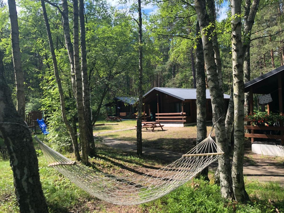 Lesnik Bungalow Stegna - Domki Letniskowe Nad Morzem Екстер'єр фото