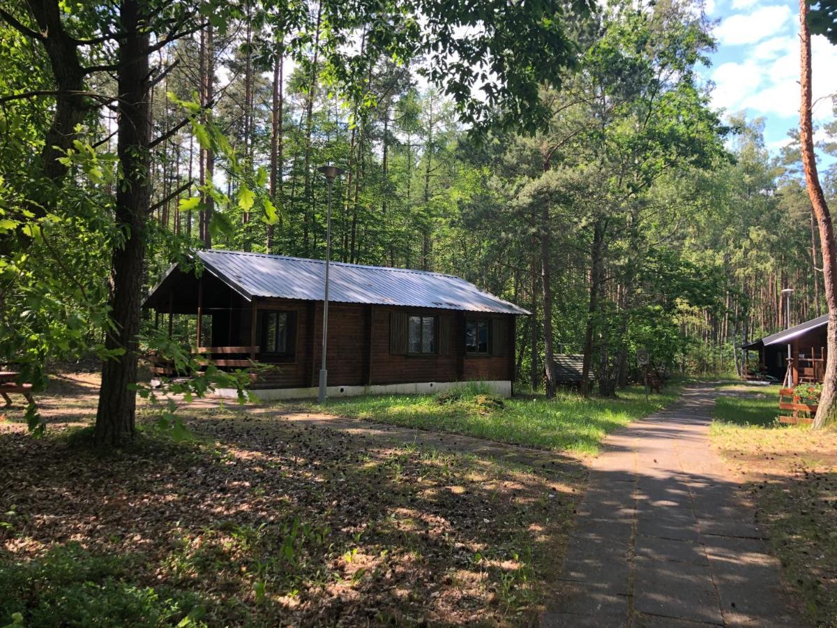 Lesnik Bungalow Stegna - Domki Letniskowe Nad Morzem Екстер'єр фото
