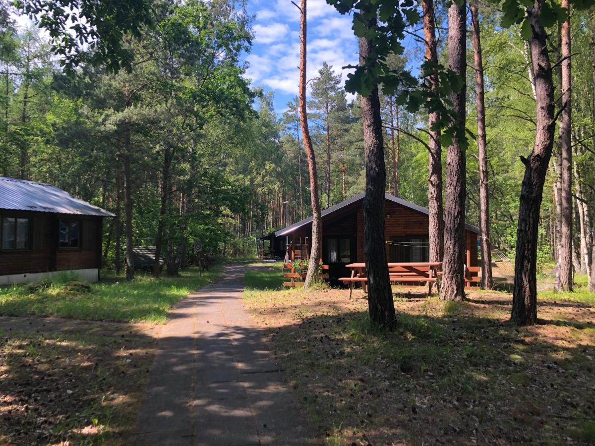 Lesnik Bungalow Stegna - Domki Letniskowe Nad Morzem Екстер'єр фото