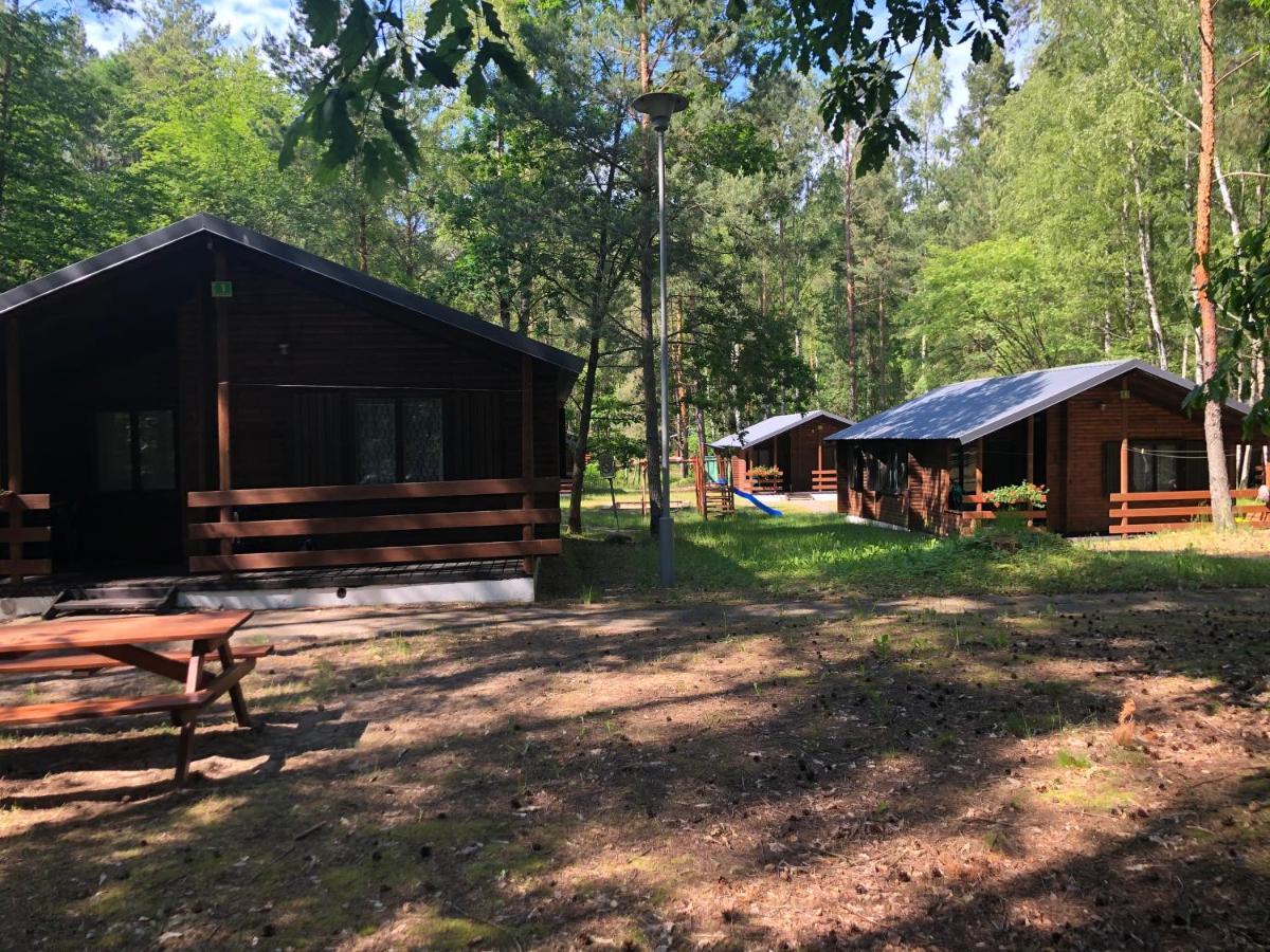 Lesnik Bungalow Stegna - Domki Letniskowe Nad Morzem Екстер'єр фото