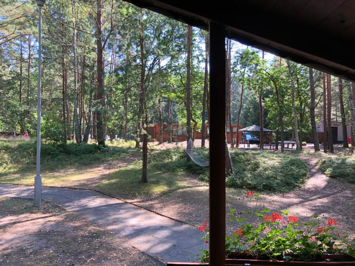Lesnik Bungalow Stegna - Domki Letniskowe Nad Morzem Екстер'єр фото