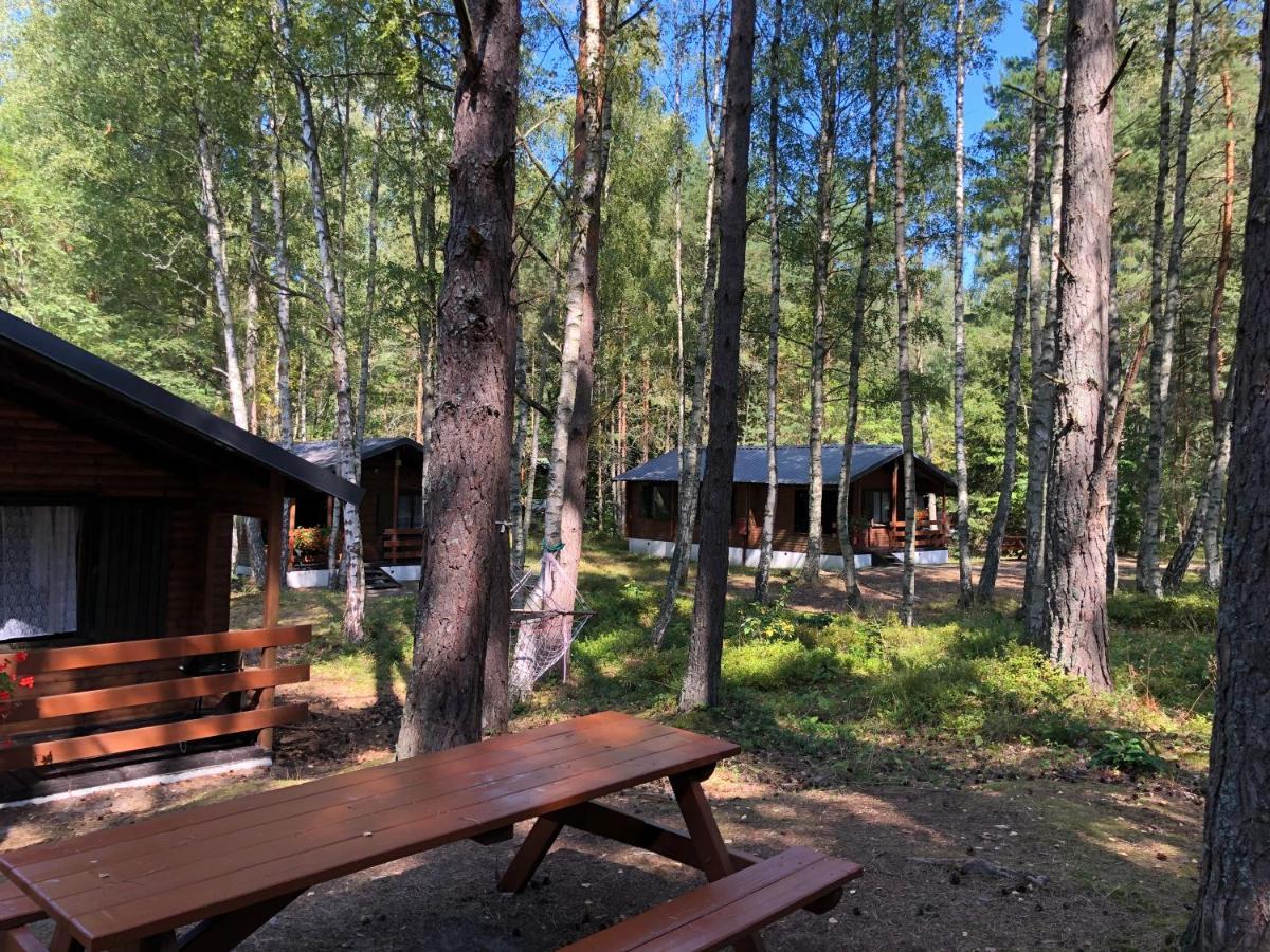 Lesnik Bungalow Stegna - Domki Letniskowe Nad Morzem Екстер'єр фото