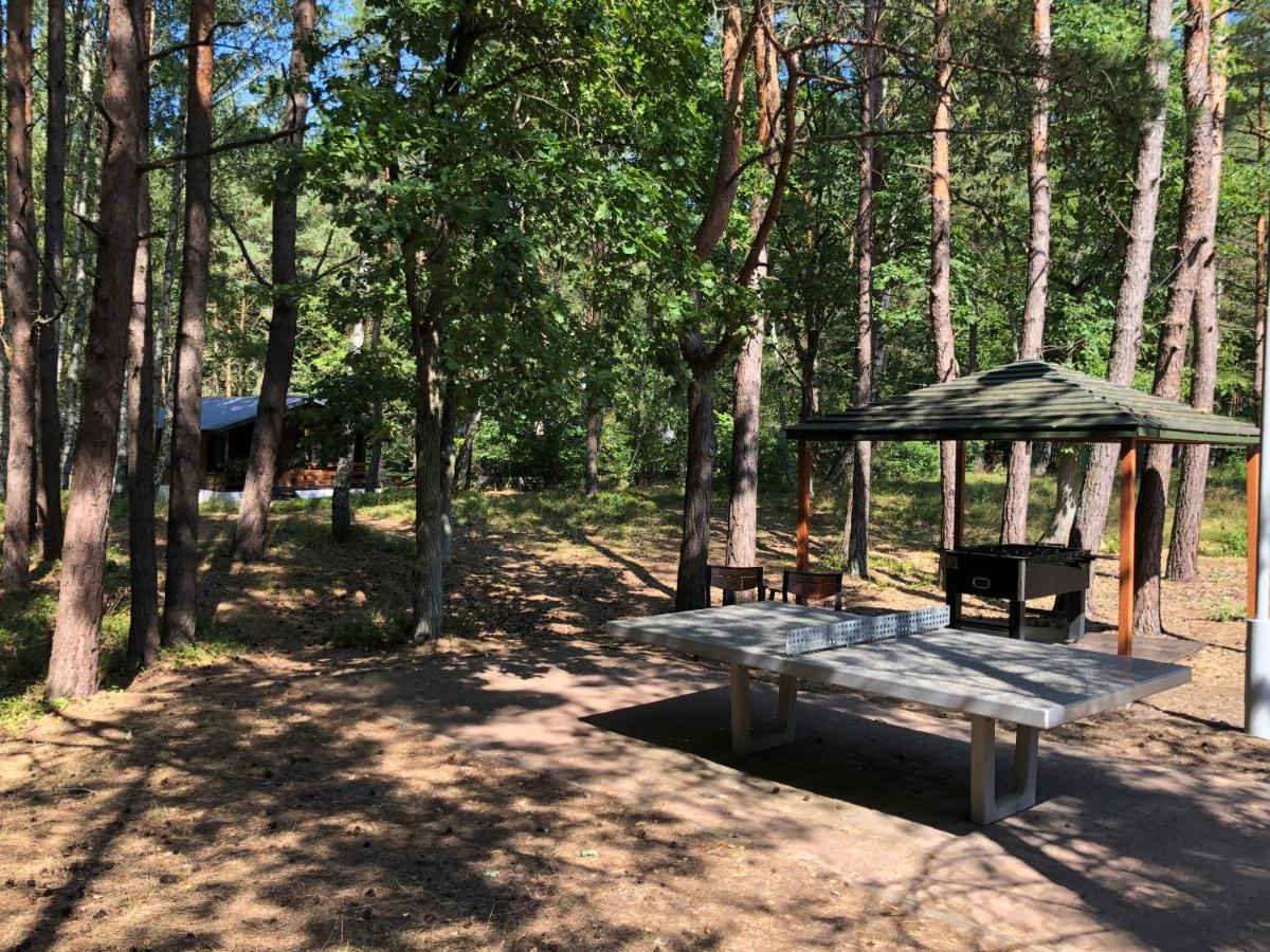 Lesnik Bungalow Stegna - Domki Letniskowe Nad Morzem Екстер'єр фото