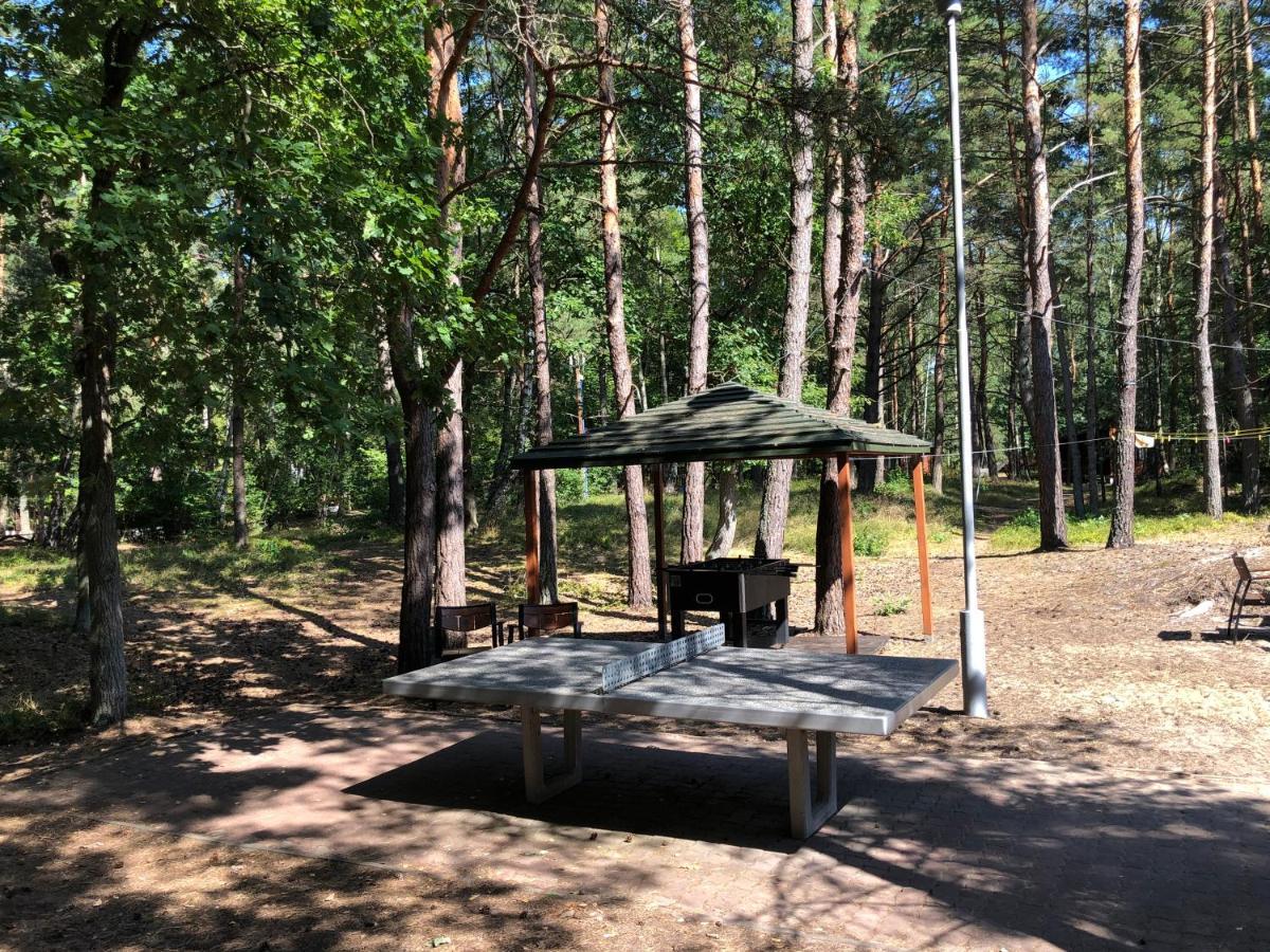 Lesnik Bungalow Stegna - Domki Letniskowe Nad Morzem Екстер'єр фото