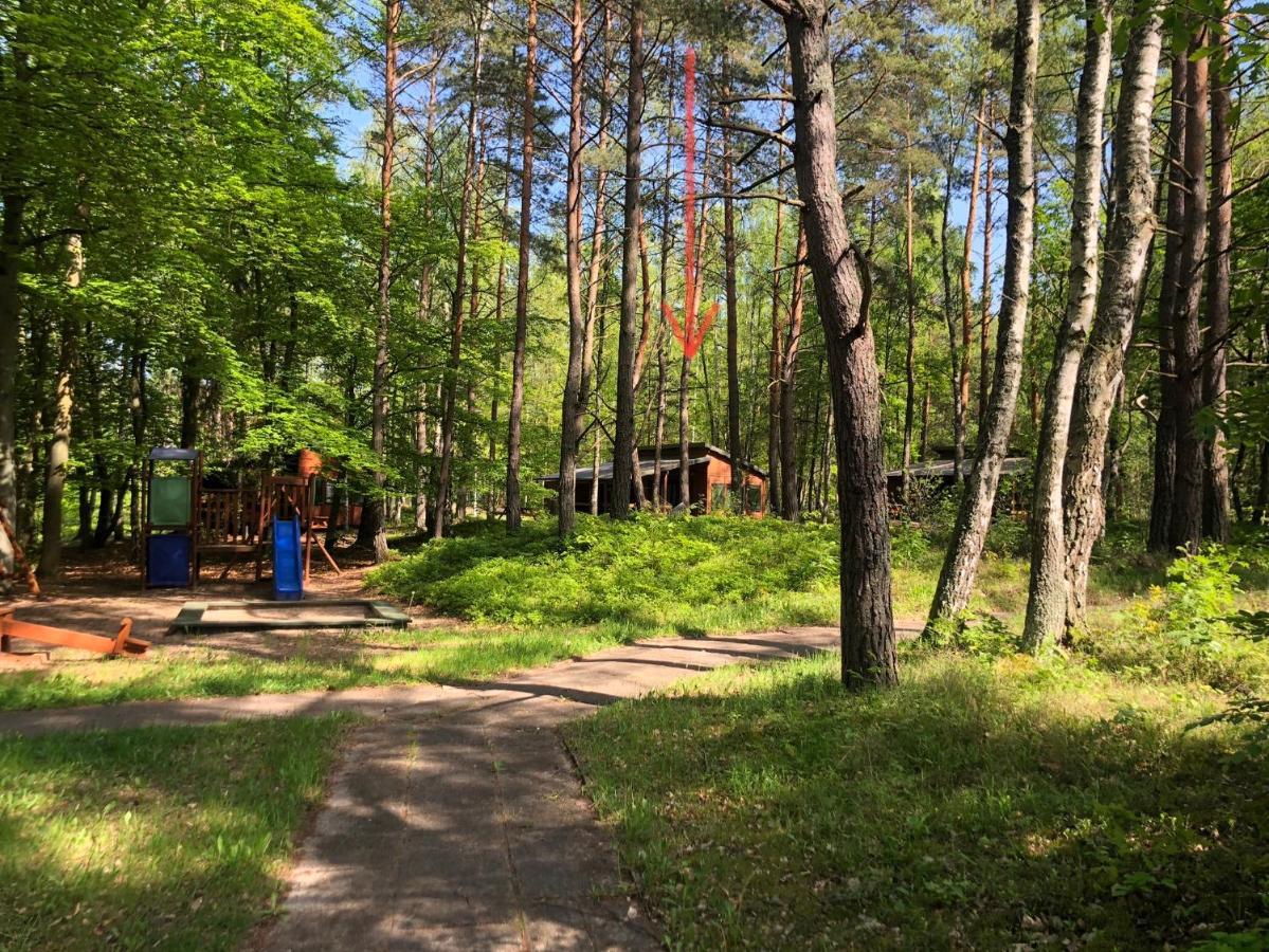 Lesnik Bungalow Stegna - Domki Letniskowe Nad Morzem Екстер'єр фото