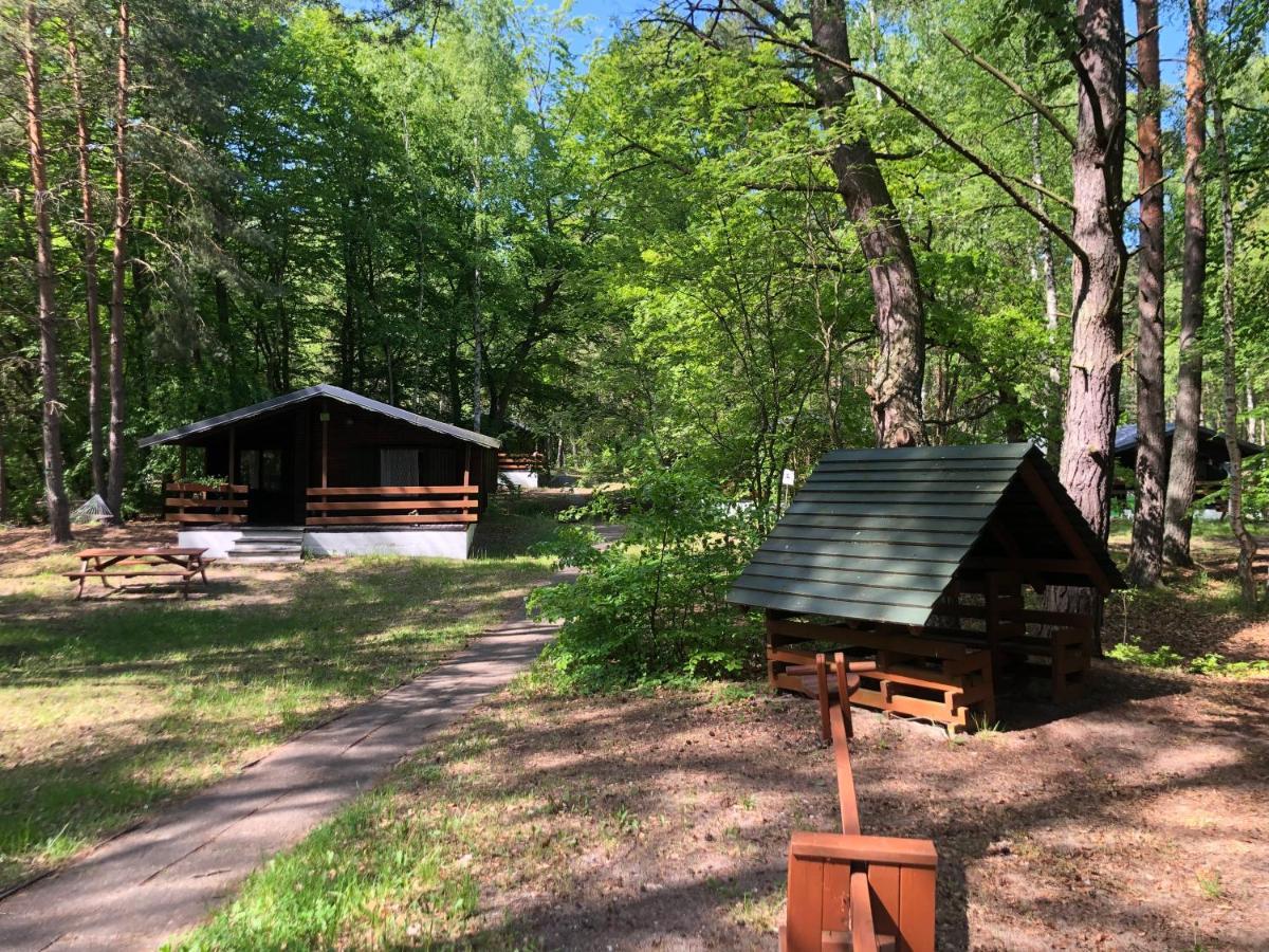 Lesnik Bungalow Stegna - Domki Letniskowe Nad Morzem Екстер'єр фото