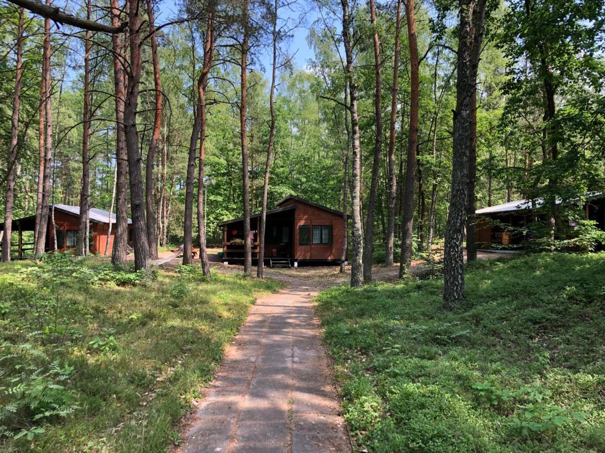 Lesnik Bungalow Stegna - Domki Letniskowe Nad Morzem Екстер'єр фото