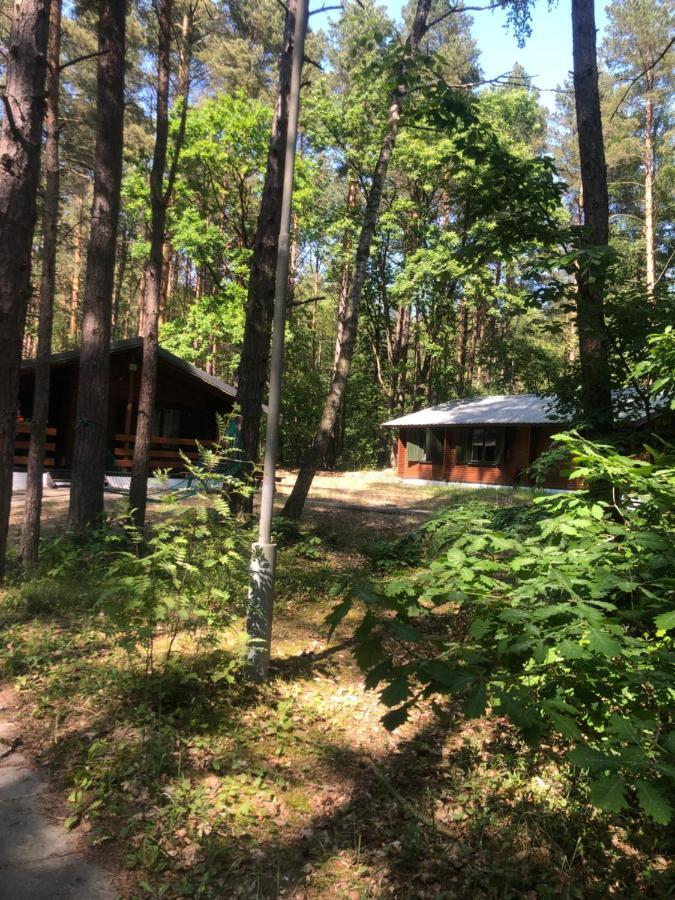 Lesnik Bungalow Stegna - Domki Letniskowe Nad Morzem Екстер'єр фото