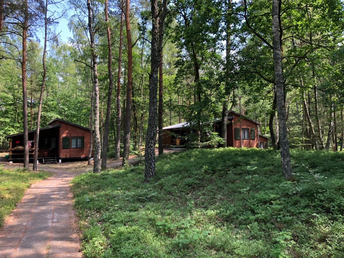 Lesnik Bungalow Stegna - Domki Letniskowe Nad Morzem Екстер'єр фото